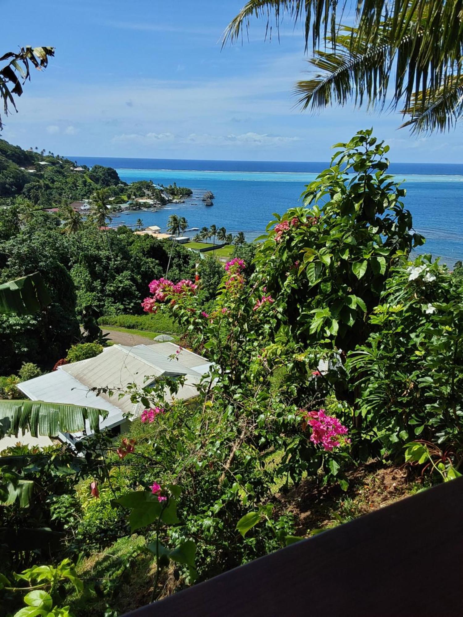 Fare Mahi Mahi Acomodação com café da manhã Uturoa Exterior foto